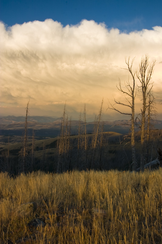 Clouds And Trees At Sunset